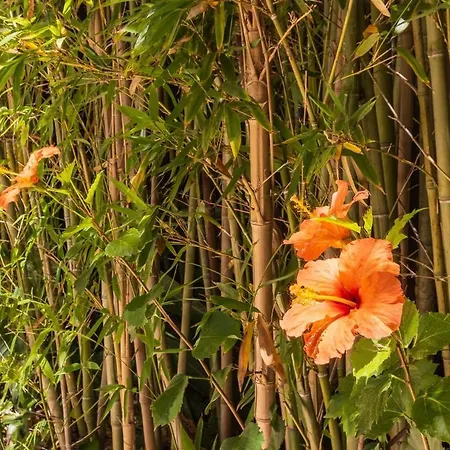 Roco Private Pool And Sea View *